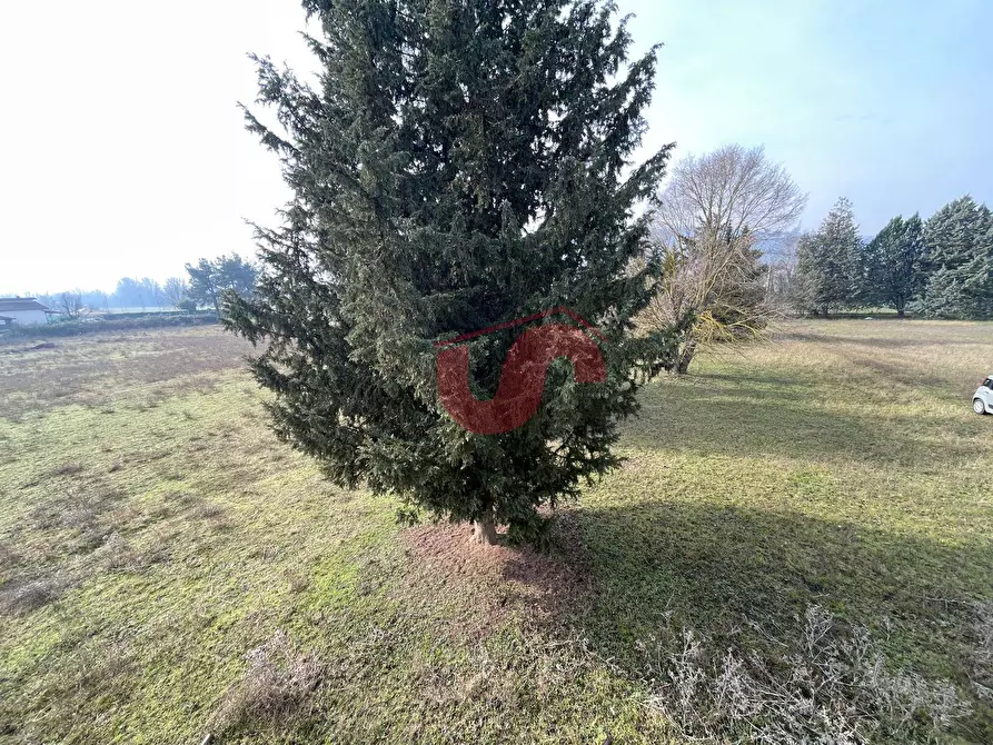 Immagine 24 di Rustico / casale in vendita  in C.da Piano Morra snc a Benevento