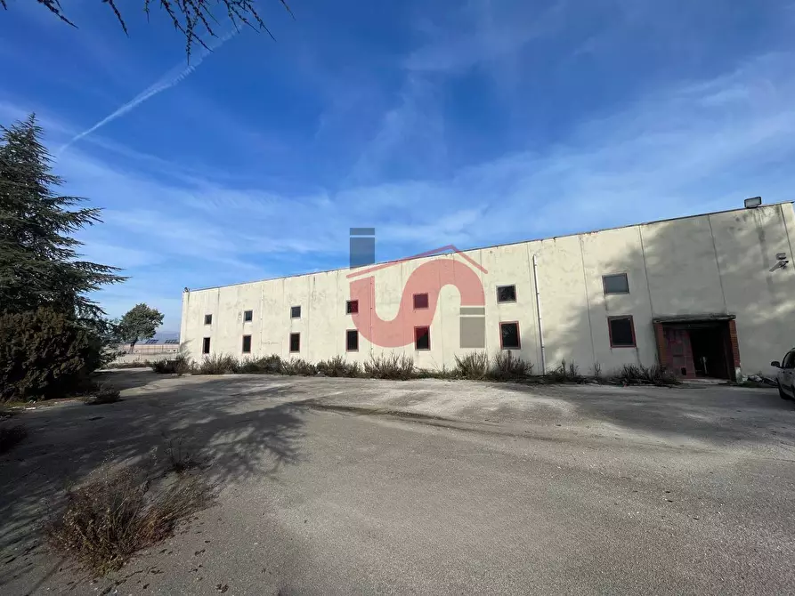 Immagine 2 di Capannone industriale in vendita  in Via Torre Palazzo (Torrecuso) a Apollosa