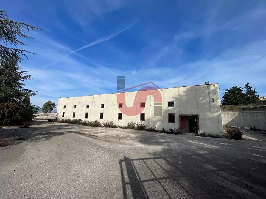 Immagine 1 di Capannone industriale in vendita  in Via Torre Palazzo (Torrecuso) a Apollosa