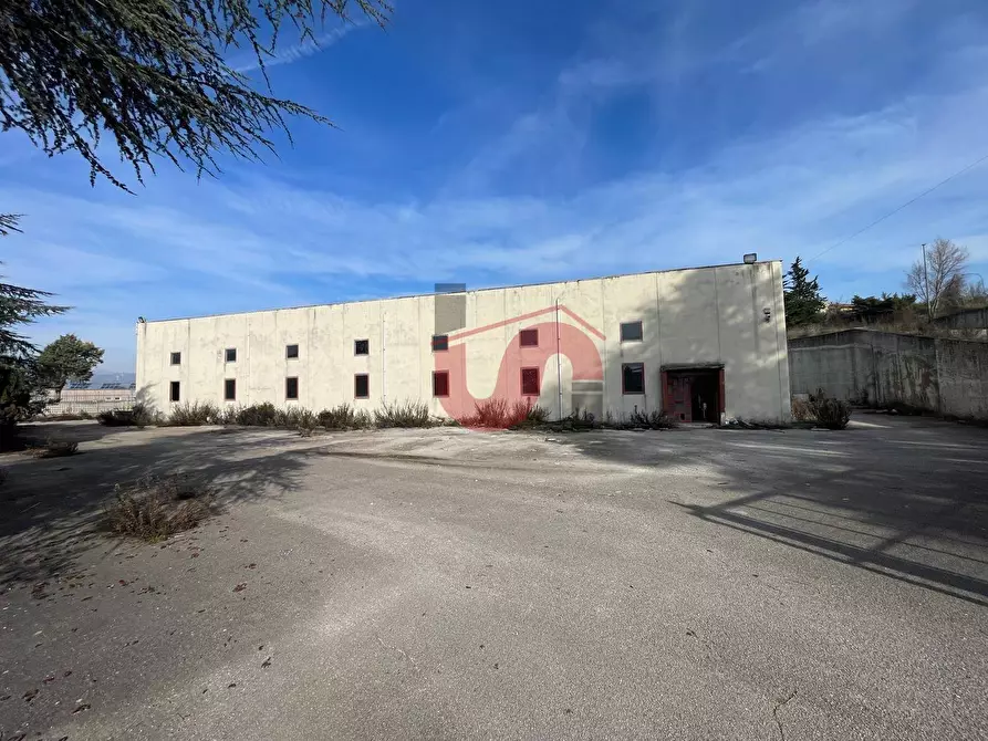 Immagine 15 di Capannone industriale in vendita  in Via Torre Palazzo (Torrecuso) a Apollosa