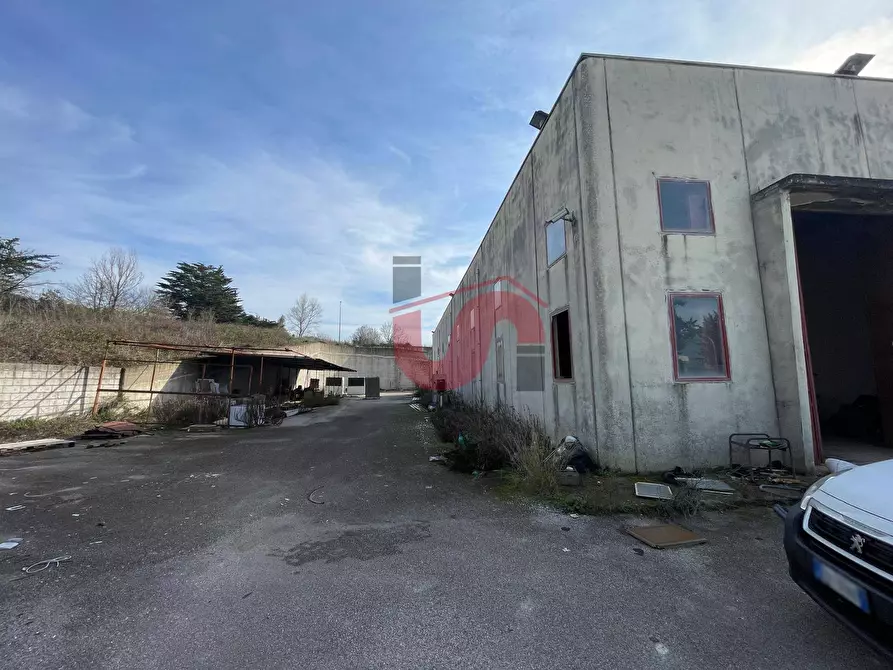 Immagine 17 di Capannone industriale in vendita  in Via Torre Palazzo (Torrecuso) a Apollosa