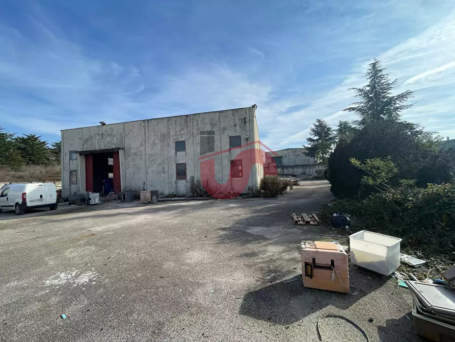 Immagine 12 di Capannone industriale in vendita  in Via Torre Palazzo (Torrecuso) a Apollosa