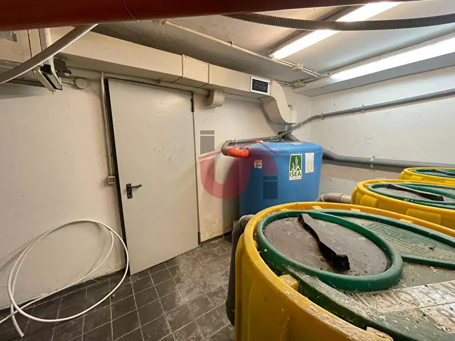 Immagine 19 di Attività commerciale in vendita  in Via Traiano a Benevento