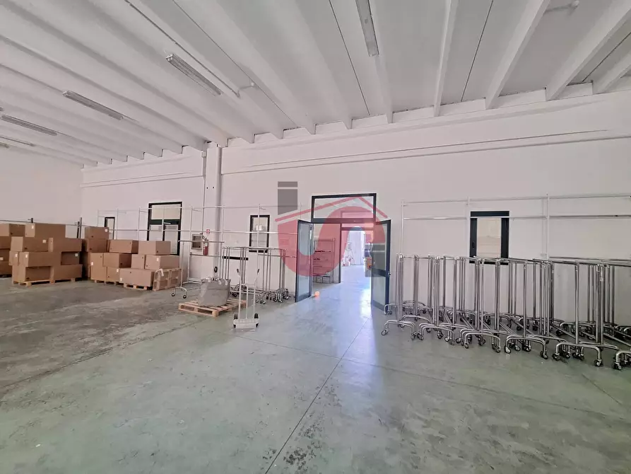 Immagine 11 di Capannone industriale in vendita  in C/da Piane snc a Baselice