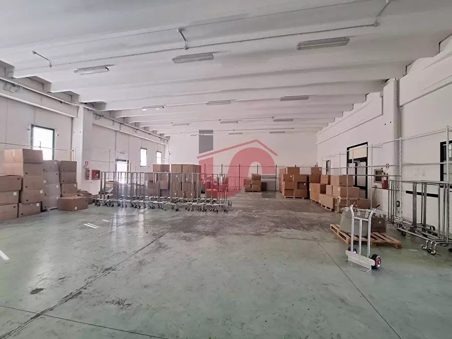 Immagine 12 di Capannone industriale in vendita  in C/da Piane snc a Baselice