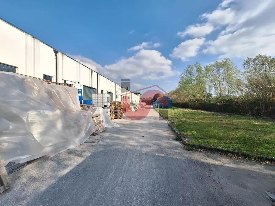 Immagine 9 di Capannone industriale in vendita  in C/da Piane snc a Baselice