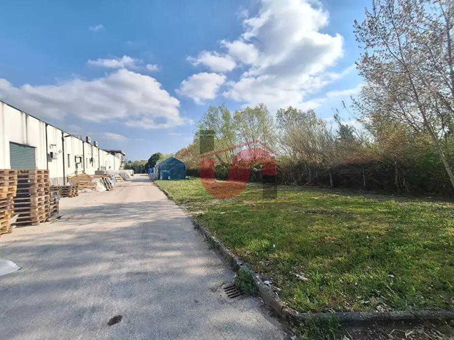 Immagine 10 di Capannone industriale in vendita  in C/da Piane snc a Baselice