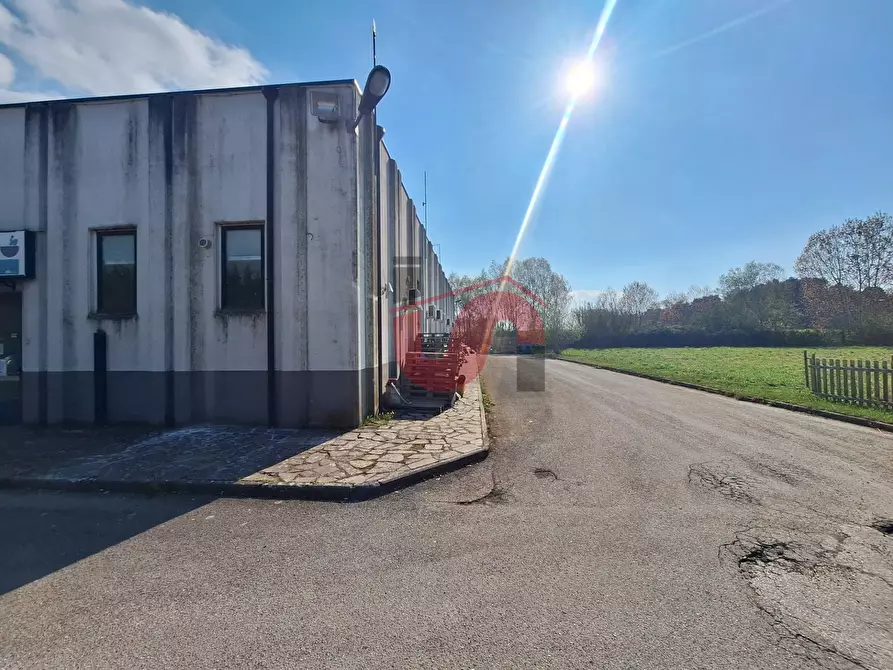 Immagine 15 di Capannone industriale in vendita  in C/da Piane snc a Baselice