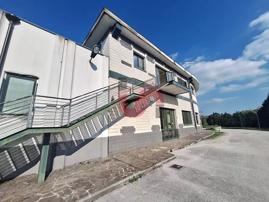Immagine 16 di Capannone industriale in vendita  in C/da Piane snc a Baselice