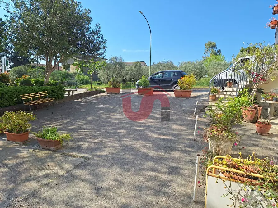 Immagine 2 di Attività commerciale in vendita  in Strada Provinciale 71 - C.da San Vitale snc a Benevento