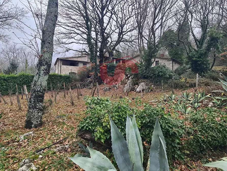 Immagine 44 di Villa in vendita  in Contrada Grotte a Casalduni
