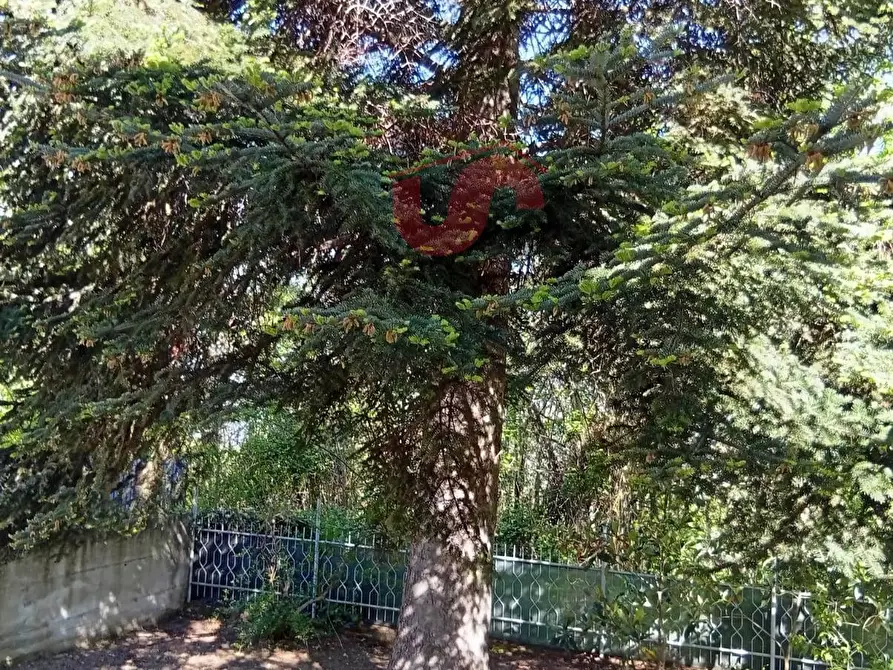 Immagine 9 di Villa in vendita  in Contrada guardie a Capriglia Irpina