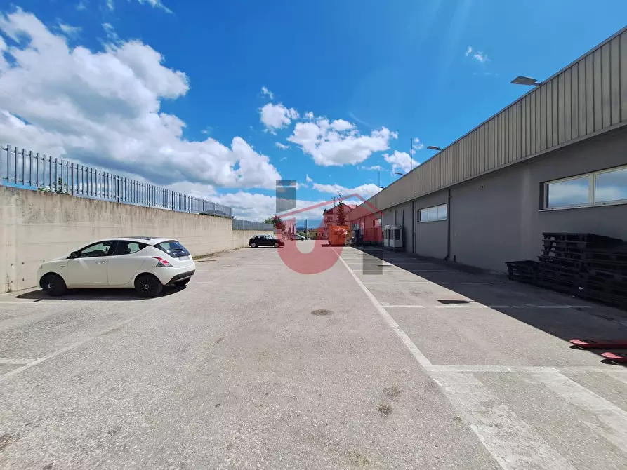Immagine 10 di Capannone industriale in vendita  in Via provinciale Vitulanese a Apollosa