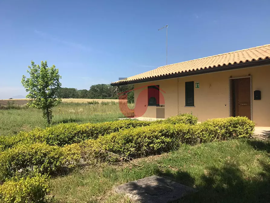 Immagine 26 di Capannone industriale in vendita  in C/da Piane snc a Baselice