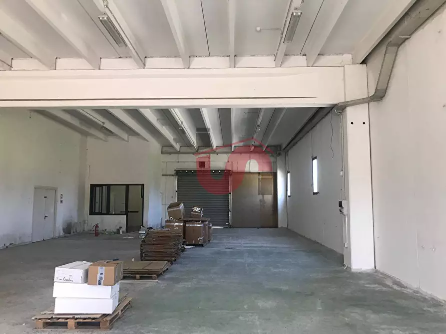 Immagine 20 di Capannone industriale in vendita  in C/da Piane snc a Baselice