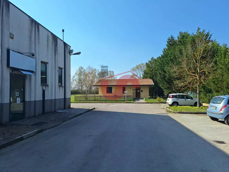 Immagine 19 di Capannone industriale in vendita  in C/da Piane snc a Baselice