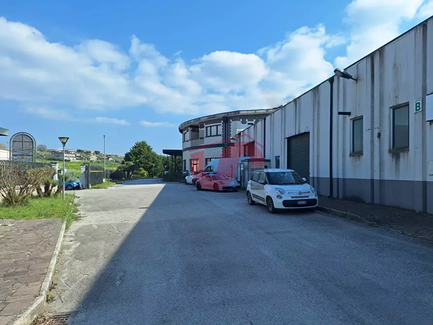 Immagine 18 di Capannone industriale in vendita  in C/da Piane snc a Baselice