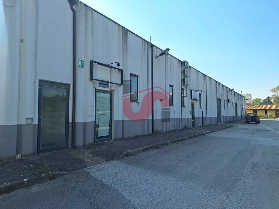 Immagine 17 di Capannone industriale in vendita  in C/da Piane snc a Baselice