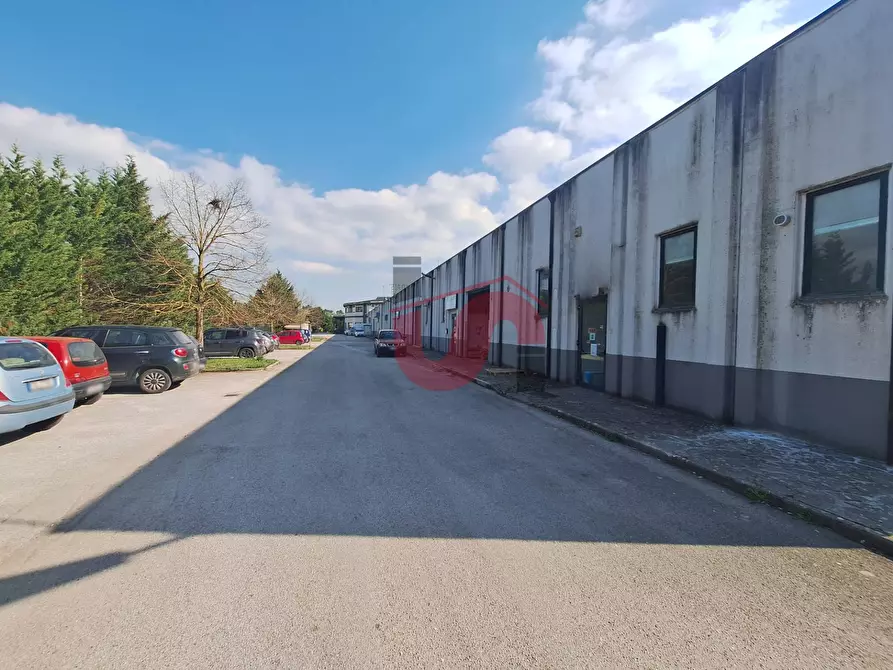 Immagine 3 di Capannone industriale in vendita  in C/da Piane snc a Baselice