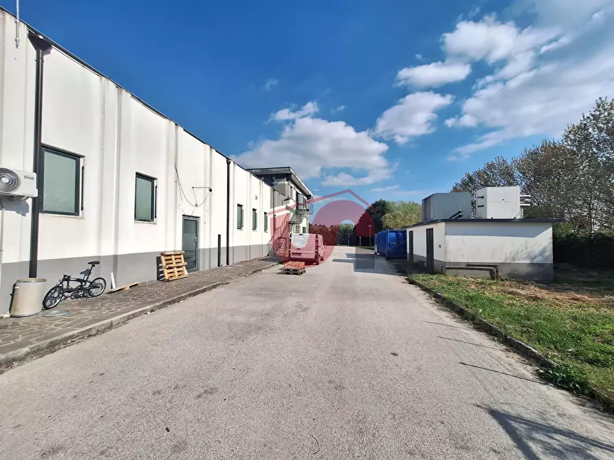 Immagine 4 di Capannone industriale in vendita  in C/da Piane snc a Baselice