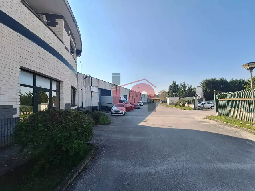 Immagine 5 di Capannone industriale in vendita  in C/da Piane snc a Baselice