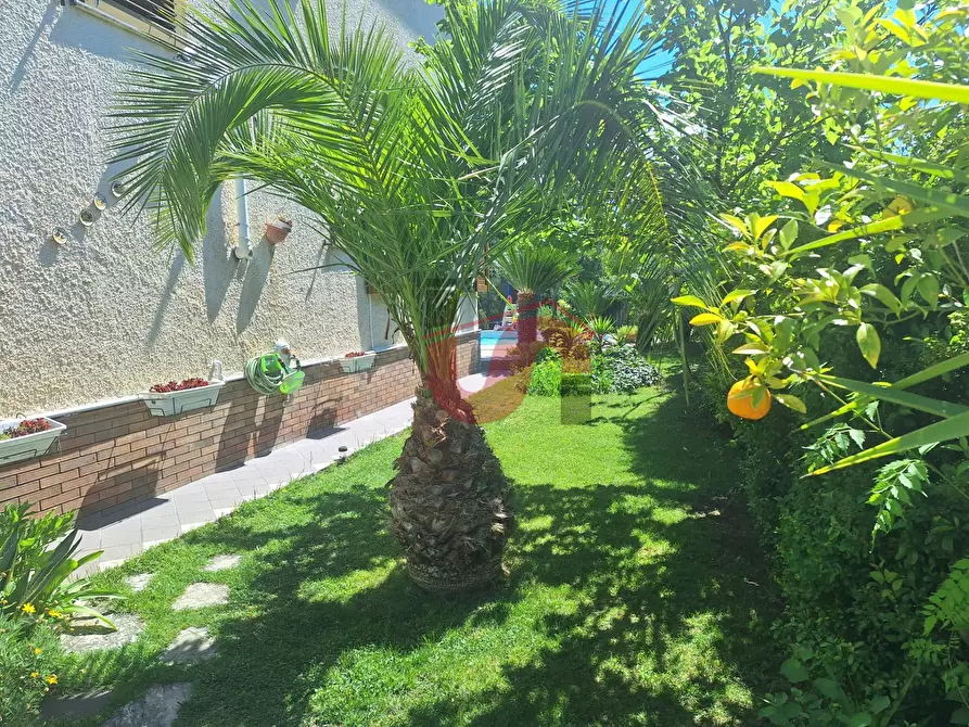Immagine 50 di Villa in vendita  in Via Antonio di Stasi a Apollosa
