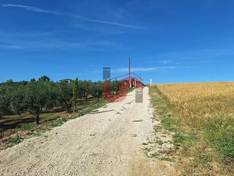 Immagine 29 di Villa in affitto  in C.da San Vitale a Benevento