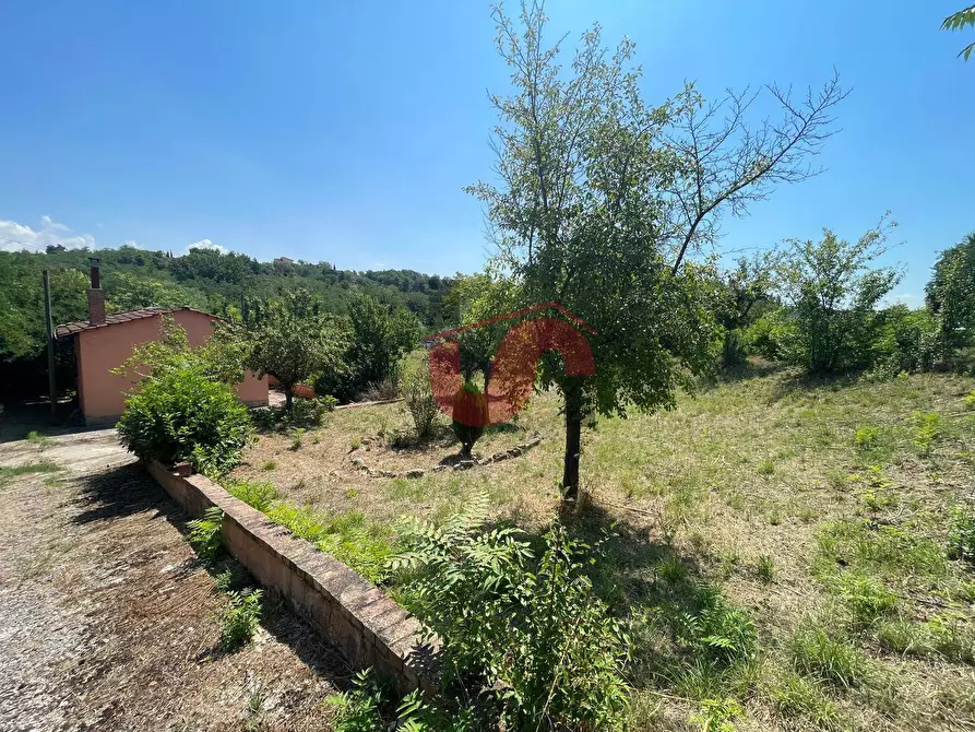Immagine 24 di Casa indipendente in vendita  in Via Bachelet a Benevento