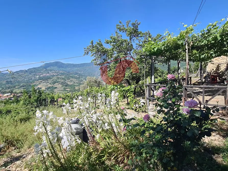 Immagine 25 di Casa semindipendente in vendita  in Contrada Barassano a Vitulano