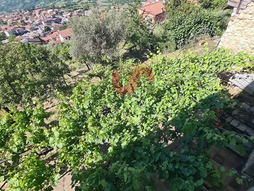 Immagine 26 di Casa semindipendente in vendita  in Contrada Barassano a Vitulano