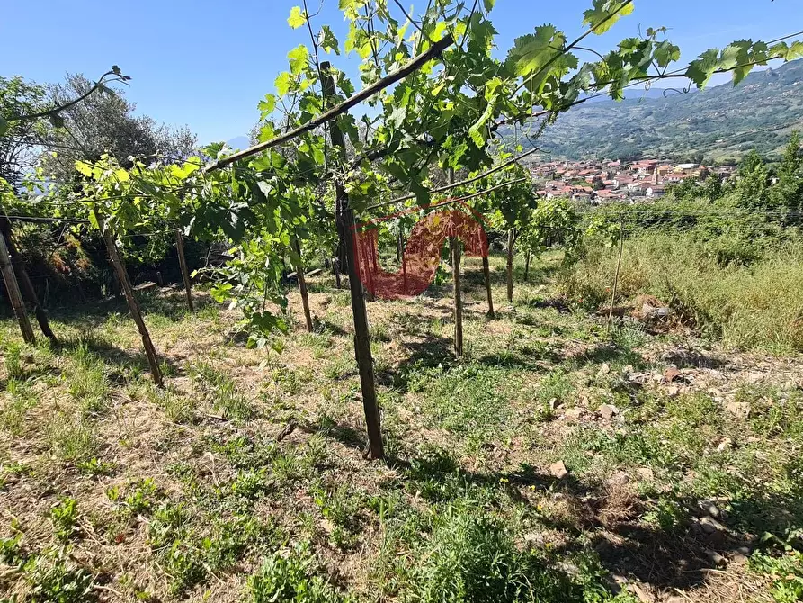 Immagine 32 di Casa semindipendente in vendita  in Contrada Barassano a Vitulano