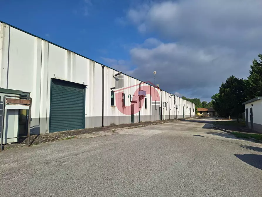 Immagine 15 di Capannone industriale in affitto  in C/da Piane snc a Baselice