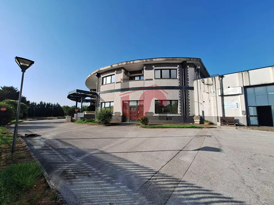 Immagine 2 di Capannone industriale in affitto  in C/da Piane snc a Baselice
