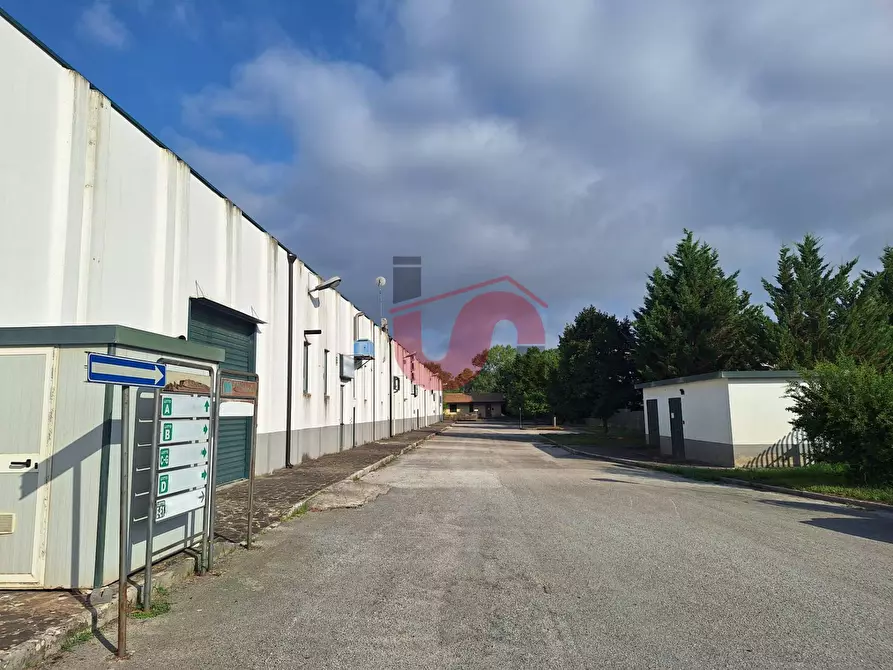 Immagine 16 di Capannone industriale in affitto  in C/da Piane snc a Baselice