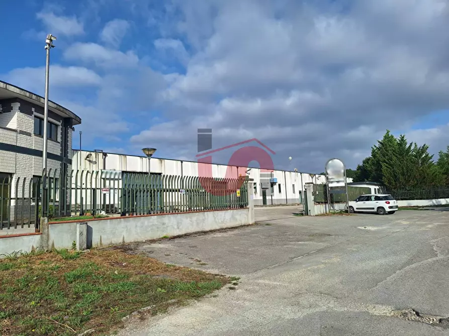 Immagine 18 di Capannone industriale in affitto  in C/da Piane snc a Baselice