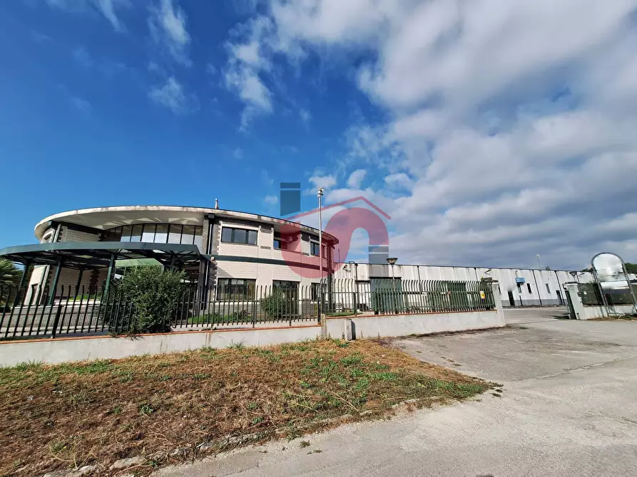 Immagine 17 di Capannone industriale in affitto  in C/da Piane snc a Baselice