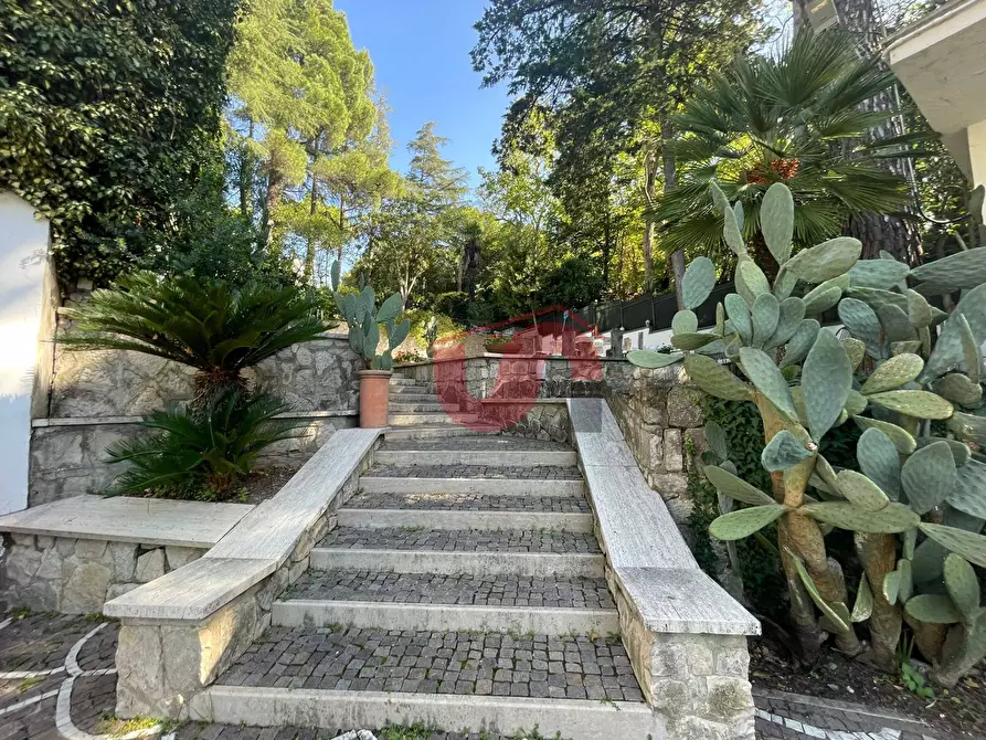 Immagine 9 di Villa in affitto  in Via ferinando bozza a Benevento