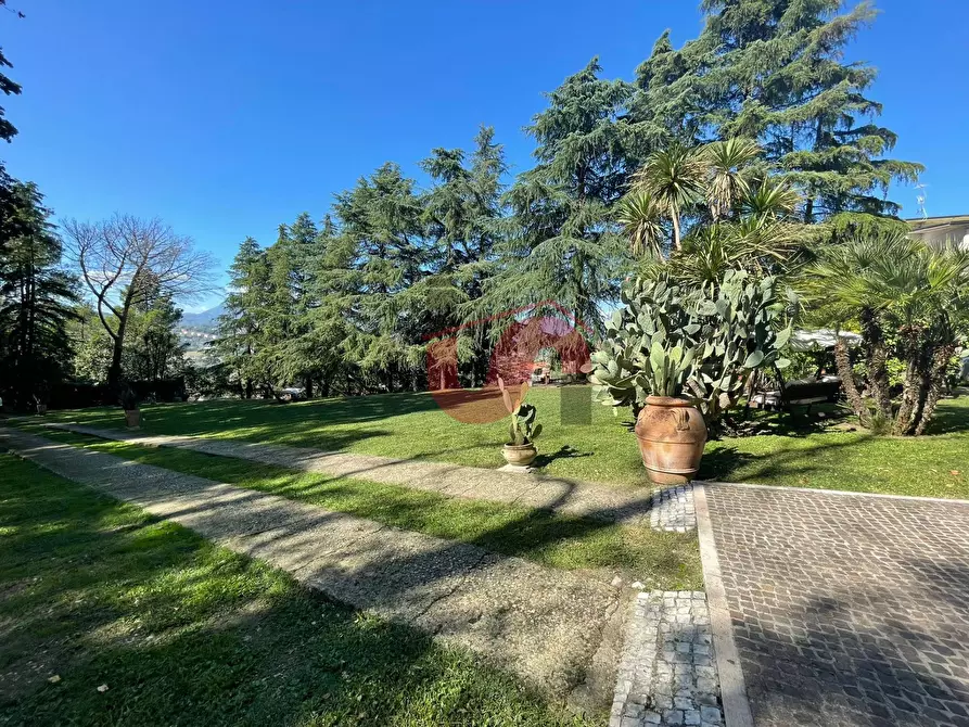 Immagine 65 di Villa in affitto  in Via ferinando bozza a Benevento