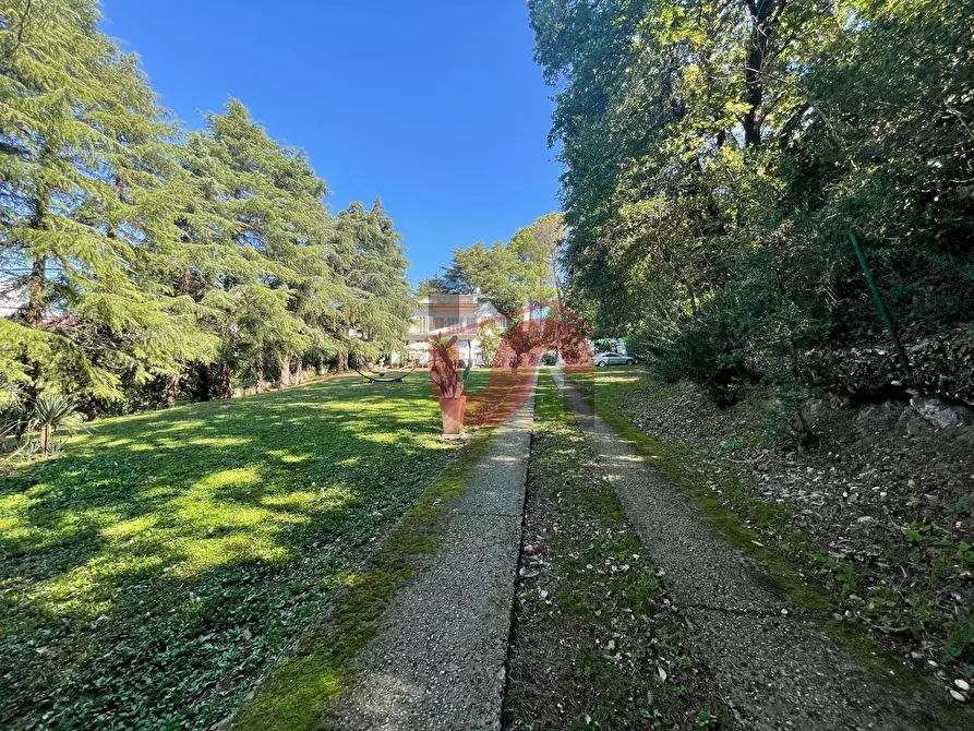 Immagine 68 di Villa in affitto  in Via ferinando bozza a Benevento