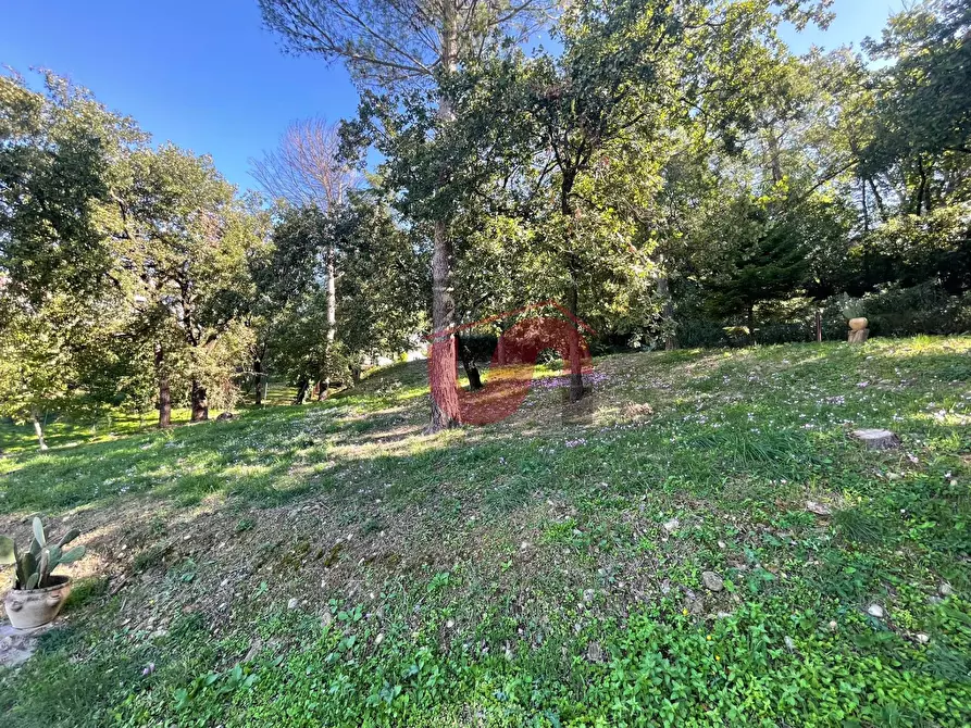Immagine 70 di Villa in affitto  in Via ferinando bozza a Benevento