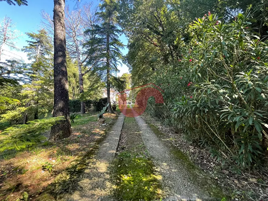 Immagine 72 di Villa in affitto  in Via ferinando bozza a Benevento
