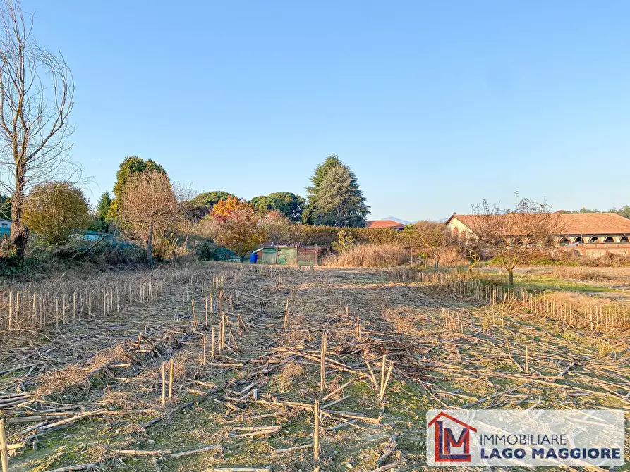 Immagine 1 di Terreno residenziale in vendita  in Via Volta a Ispra
