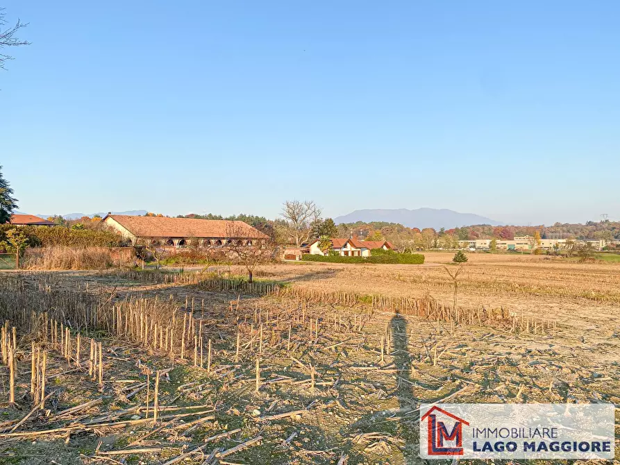 Immagine 4 di Terreno residenziale in vendita  in Via Volta a Ispra