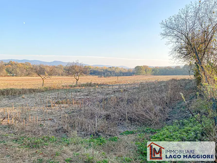 Immagine 5 di Terreno residenziale in vendita  in Via Volta a Ispra