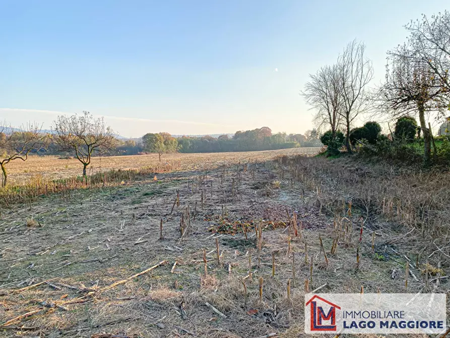 Immagine 7 di Terreno residenziale in vendita  in Via Volta a Ispra
