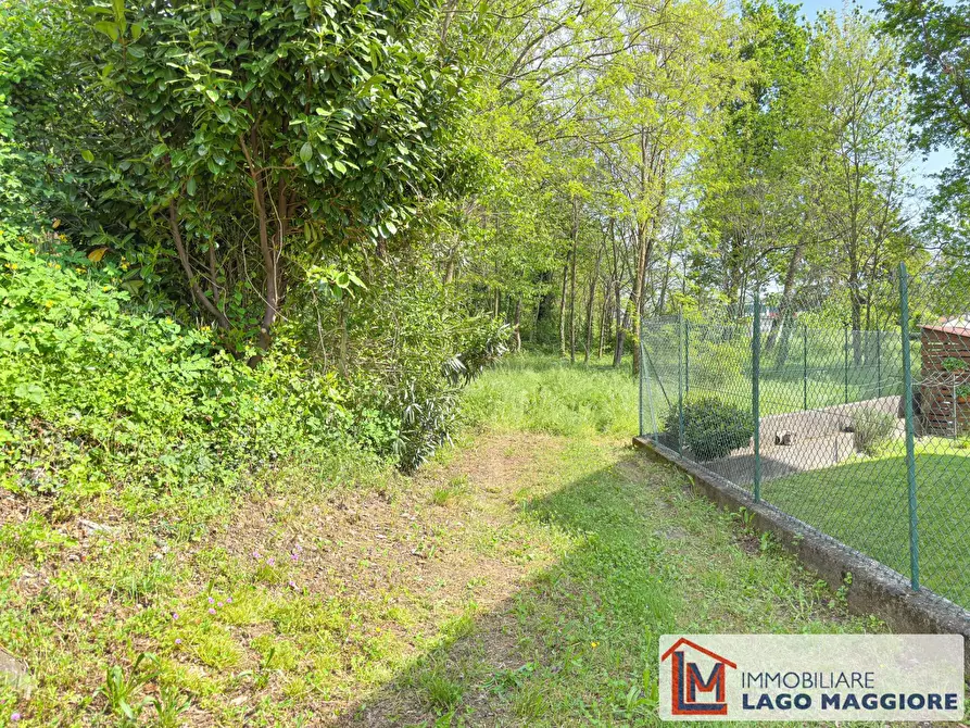 Immagine 14 di Terreno residenziale in vendita  in Via Puccini a Gavirate