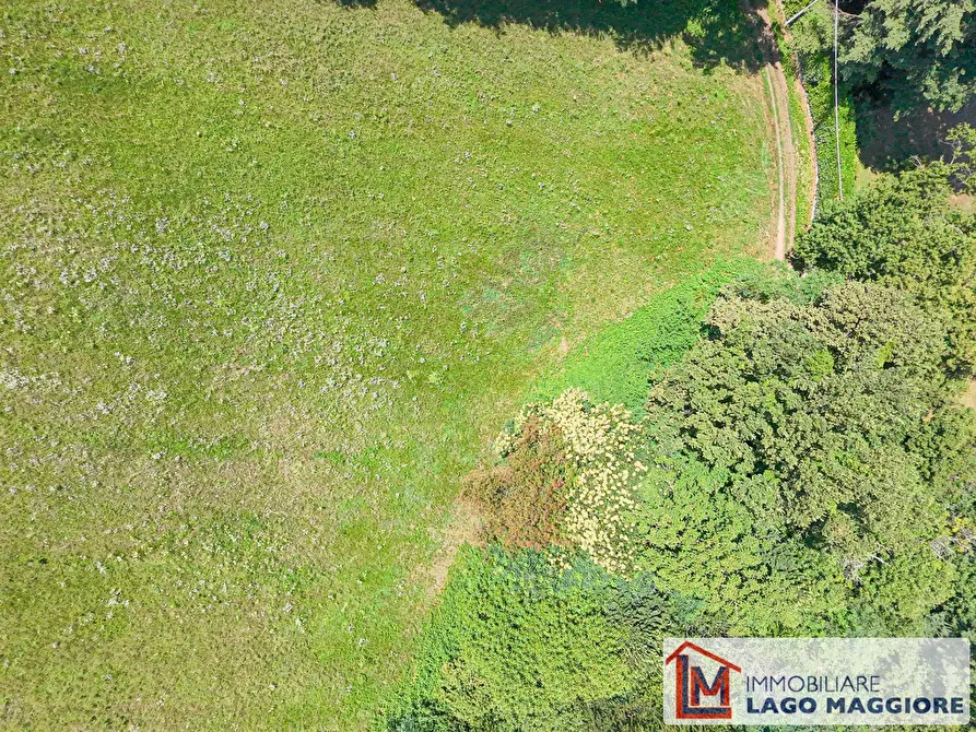 Immagine 5 di Terreno residenziale in vendita  in Via San Rocco a Vergiate
