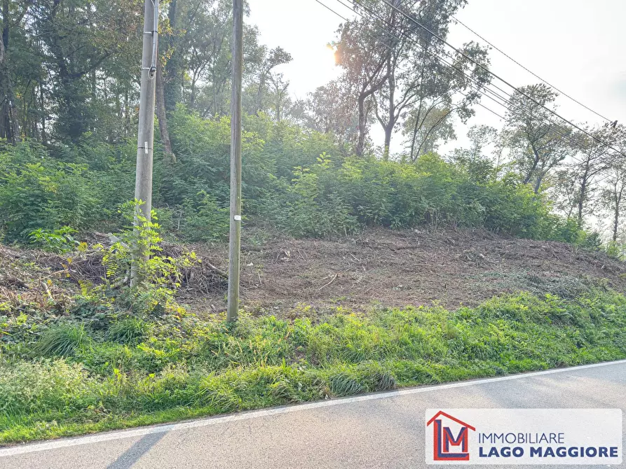 Immagine 11 di Terreno agricolo in vendita  in Via Mirabella a Malgesso