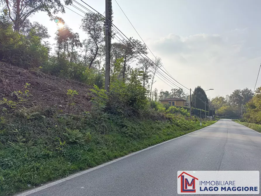 Immagine 12 di Terreno agricolo in vendita  in Via Mirabella a Malgesso