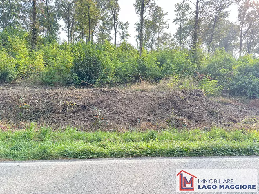Immagine 15 di Terreno agricolo in vendita  in Via Mirabella a Malgesso
